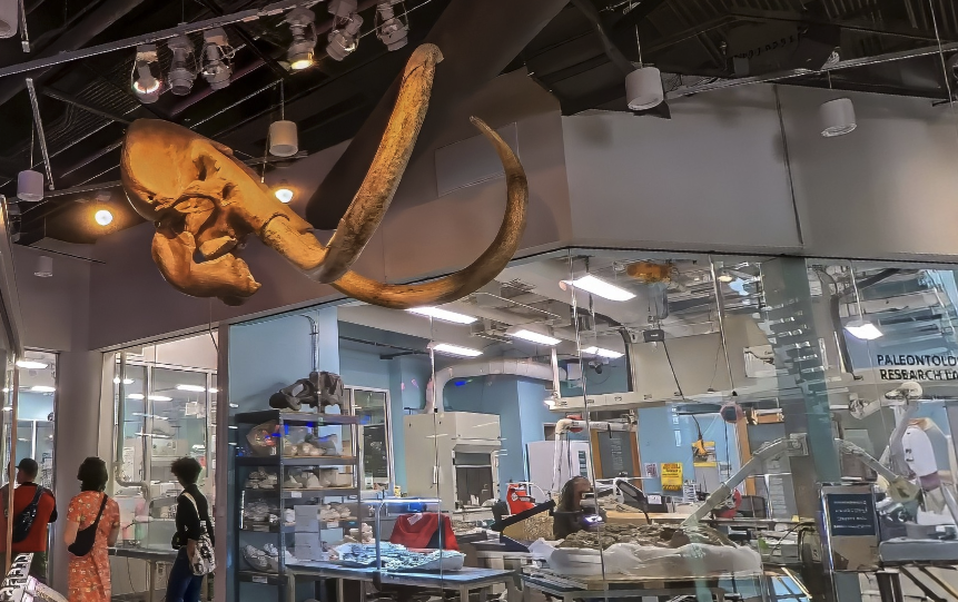 Natural history museum