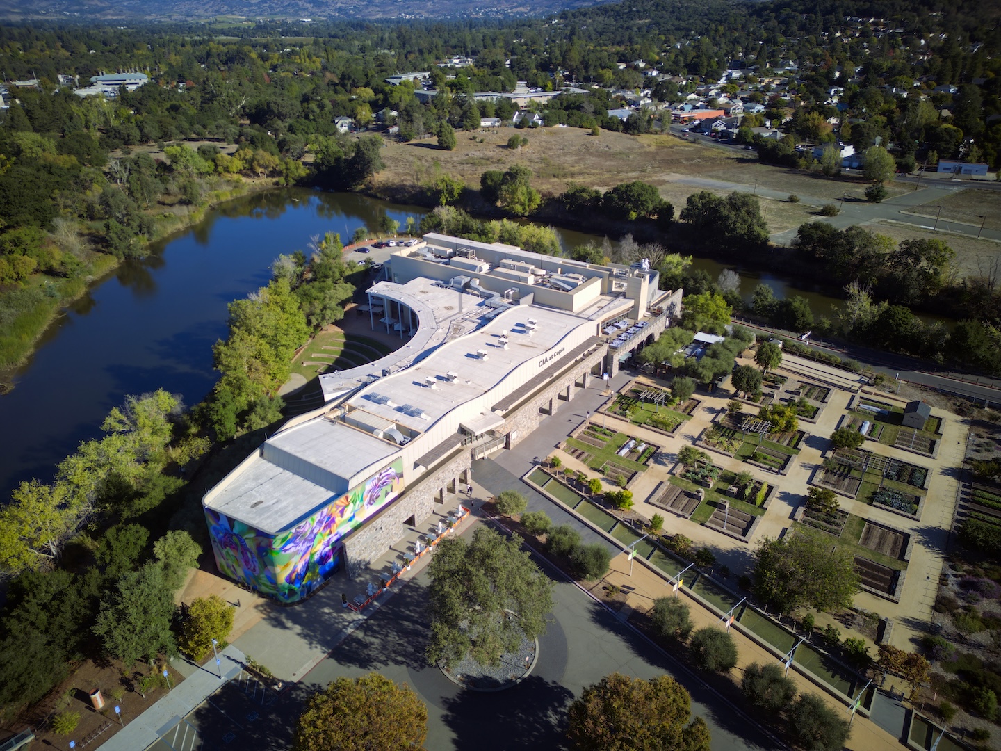 CIA Copia CIA Copia mural aerial